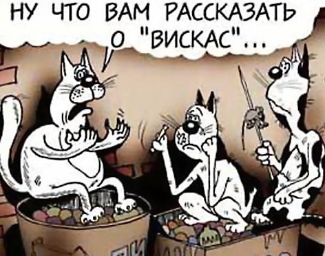 vreden-li-viskas-dlya-koshek.jpg